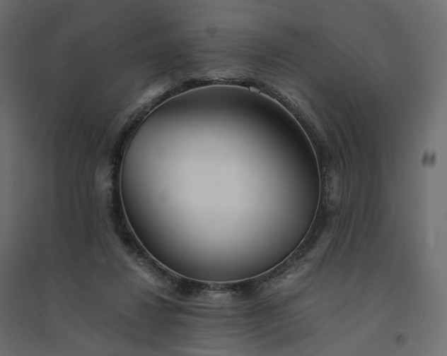 X0000094430260200711211440
