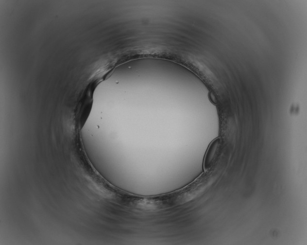 X0000094430261200711211440
