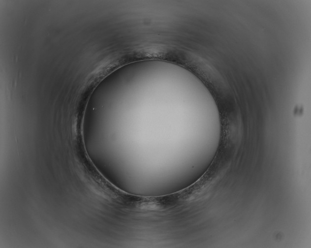 X0000094430262200711211440