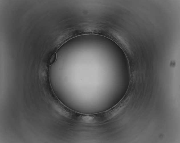 X0000094430265200711211440