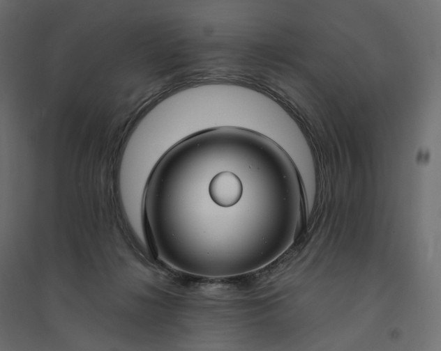 X0000094430268200711211440