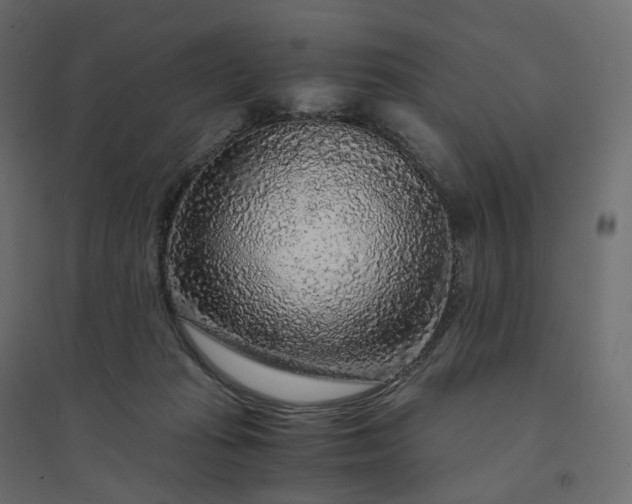 X0000094430269200711211440
