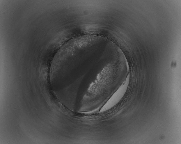 X0000094430271200711211441