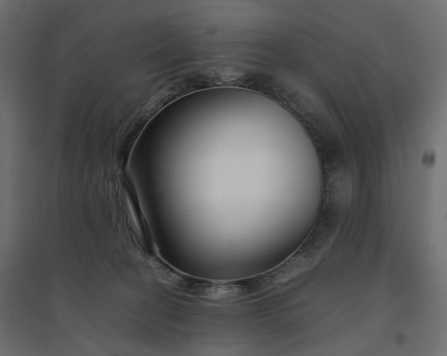 X0000094430274200711211441