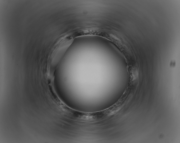 X0000094430276200711211441