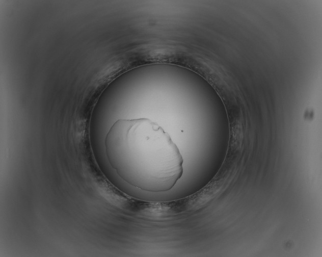 X0000094430278200711211441