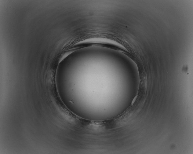 X0000094430280200711211441