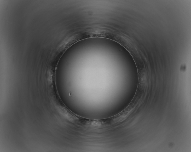 X0000094430282200711211441