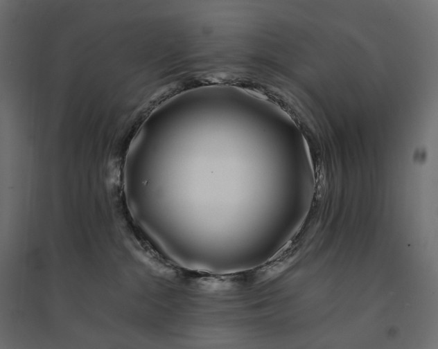 X0000094430284200711211441