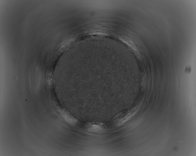 X0000094430285200711211441