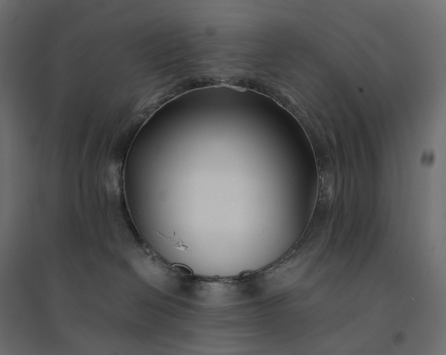 X0000094430286200711211441