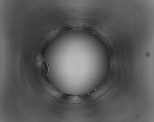 X0000094430287200711211441