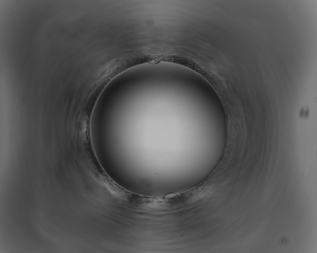 X0000094430288200711211441
