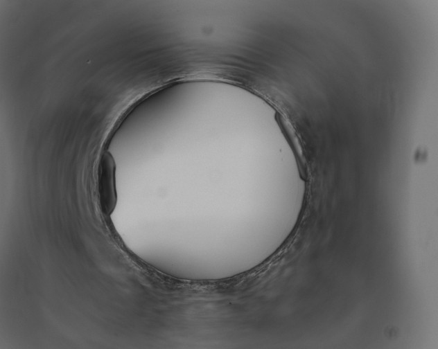 X0000094430289200711211440