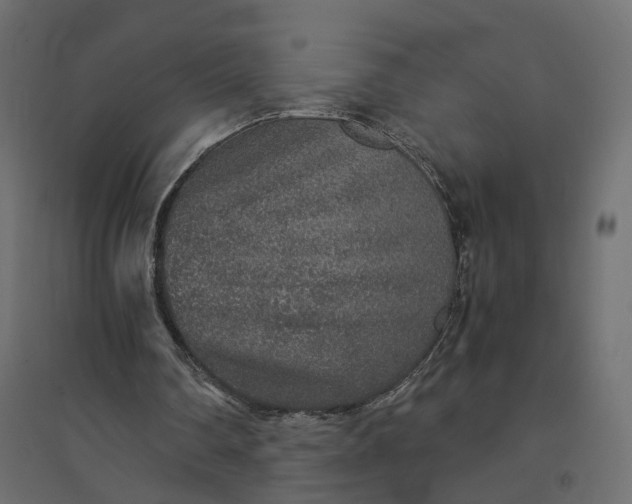X0000094430290200711211440