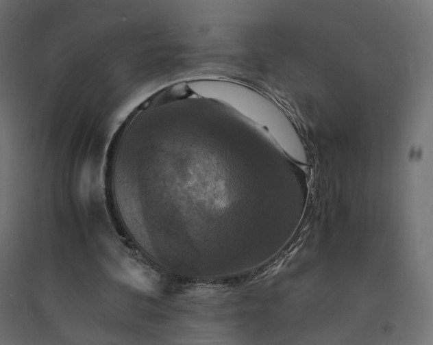 X0000094430292200711211440