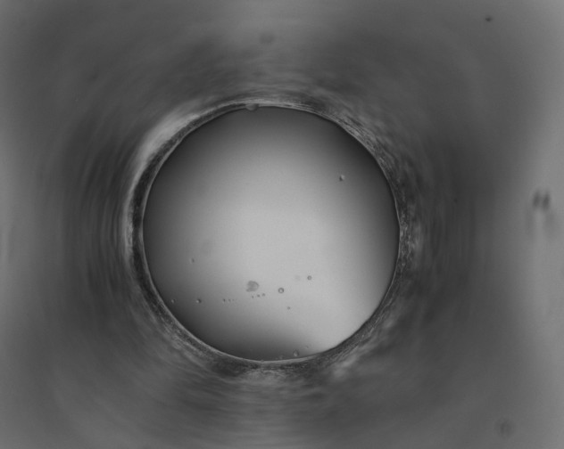 X0000094430294200711211440
