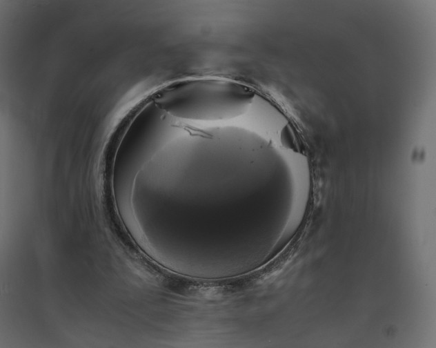 X0000094430295200711211440