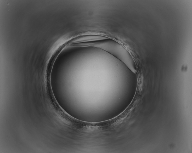 X0000094430296200711211440