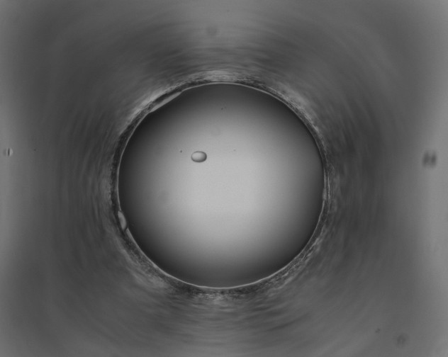 X0000094430297200711211440