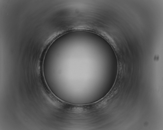 X0000094430298200711211440