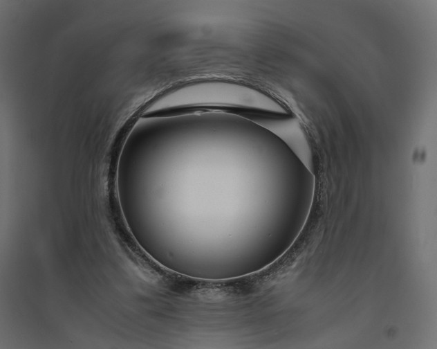 X0000094430299200711211440