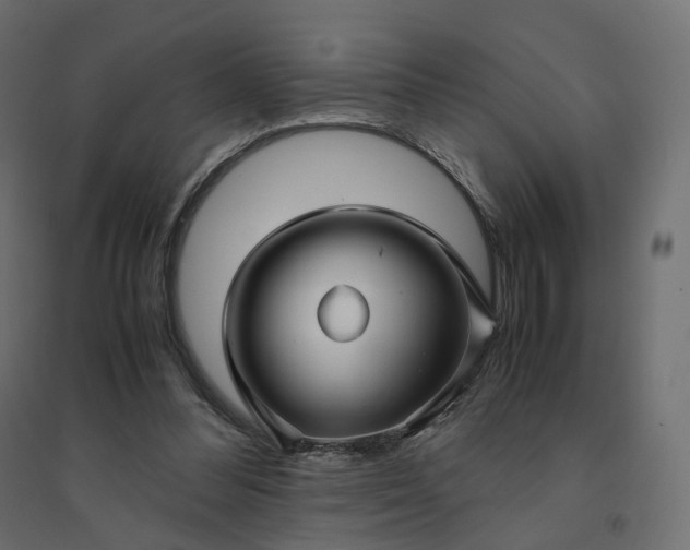 X0000094430300200711211440