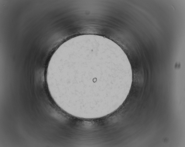 X0000094430302200711211440