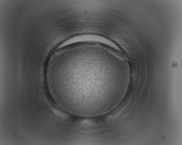 X0000094430303200711211440