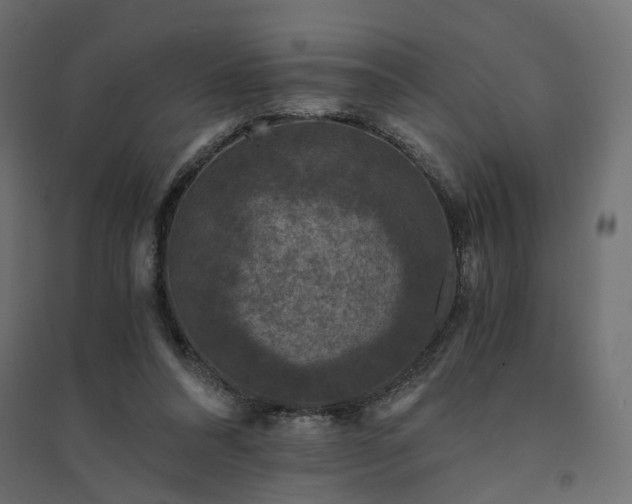 X0000094430304200711211440