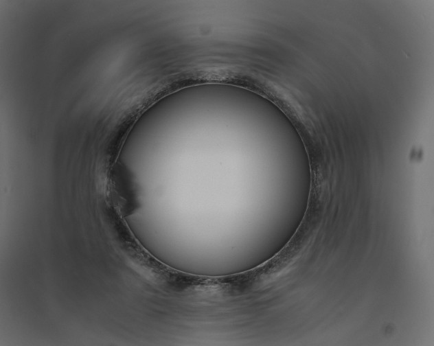 X0000094430307200711211440