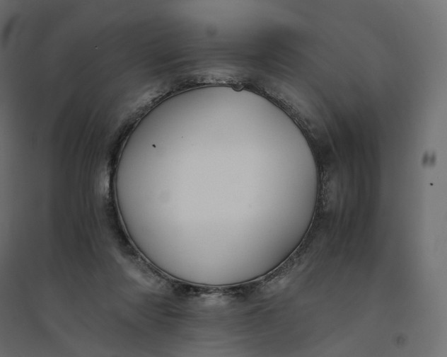 X0000094430310200711211439