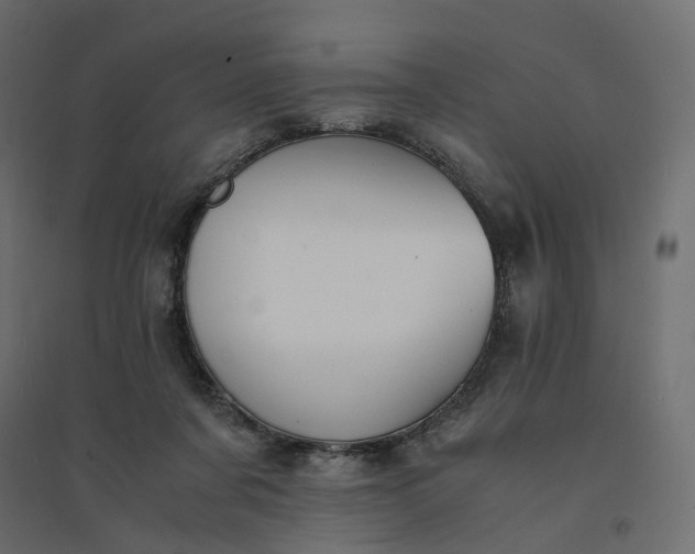 X0000094430311200711211439