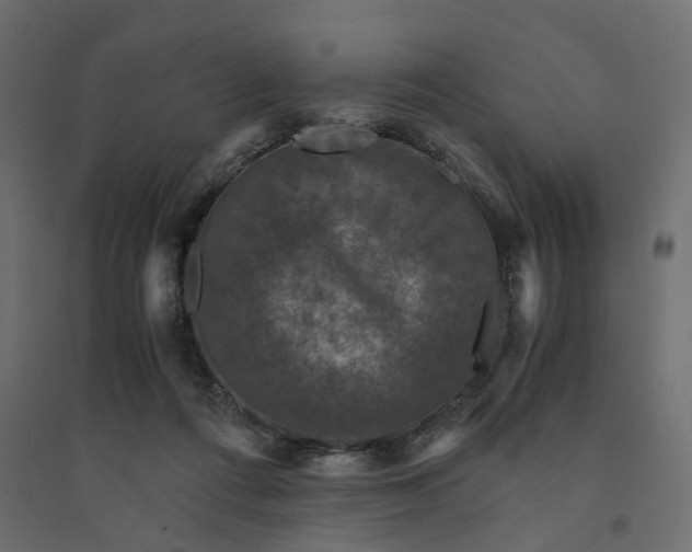 X0000094430312200711211439