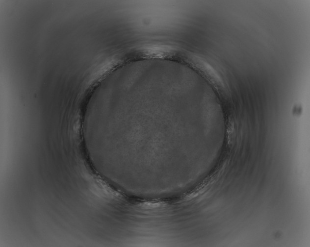X0000094430314200711211439