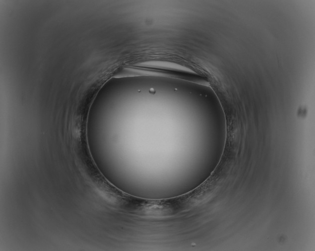 X0000094430315200711211439