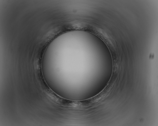X0000094430317200711211439