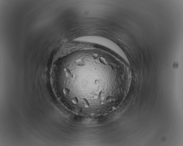 X0000094430319200711211439