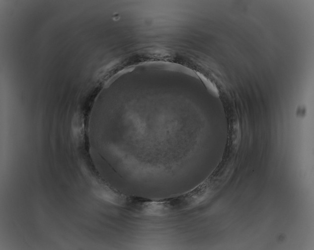 X0000094430320200711211439