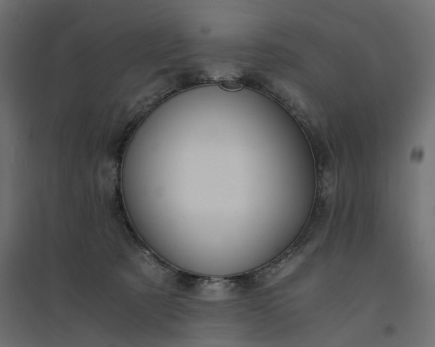 X0000094430321200711211438
