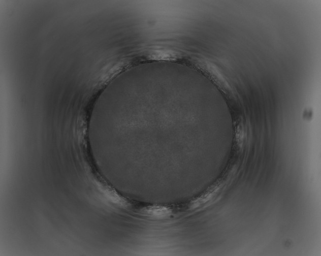 X0000094430322200711211438