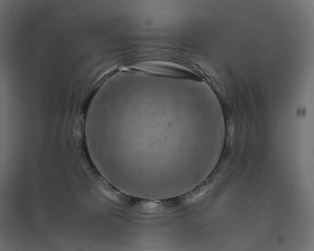 X0000094430325200711211438