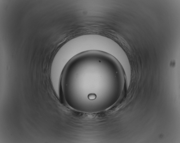 X0000094430329200711211438