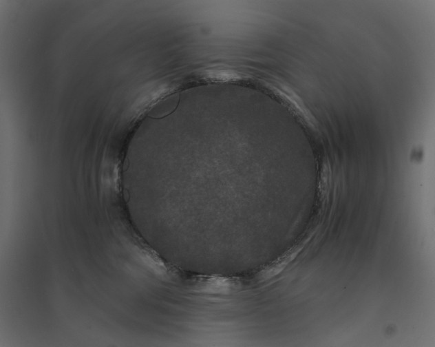X0000094430330200711211438