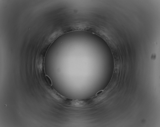 X0000094430334200711211438