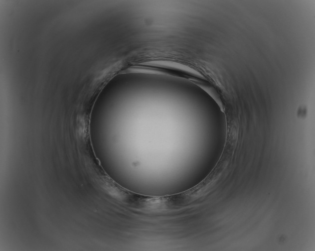 X0000094430335200711211438