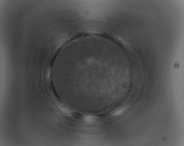 X0000094430336200711211438