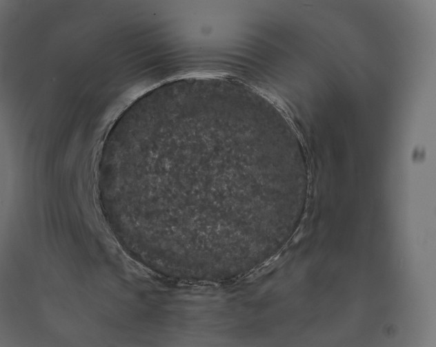 X0000094430337200711211438