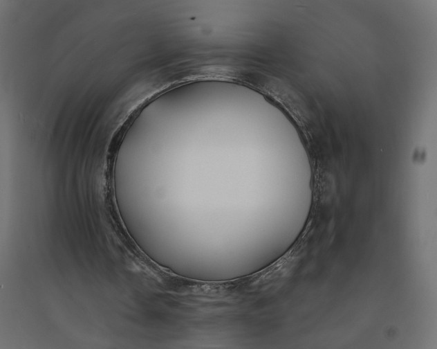 X0000094430338200711211438