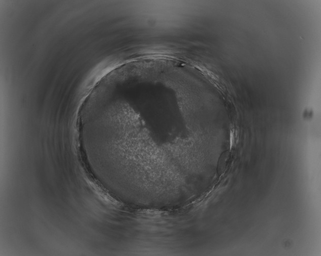 X0000094430339200711211438